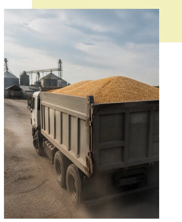 Перевозка сельхозпродукции навалом в Армавир по цене от 3039 р. | Агросервис-Рмв