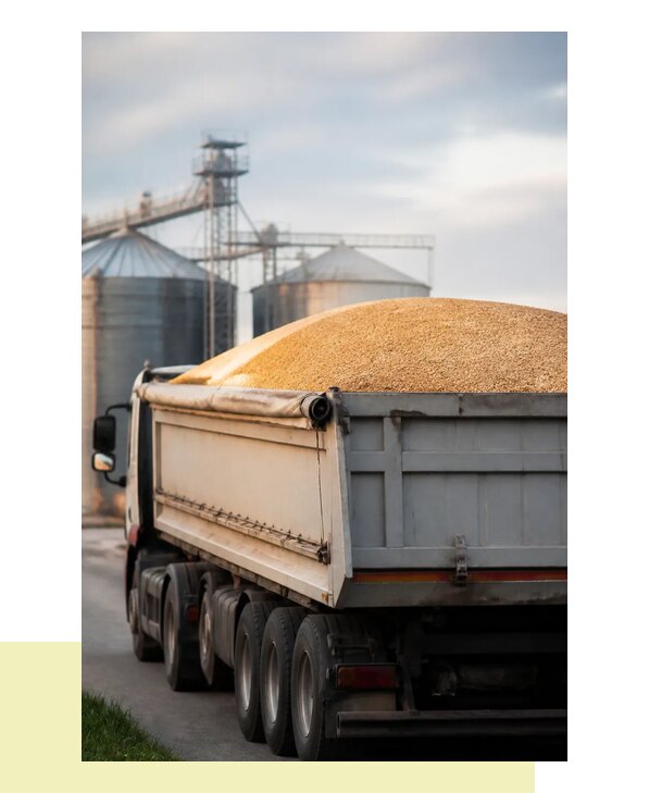 Автомобильная перевозка зерна и зерновых культур в Армавир